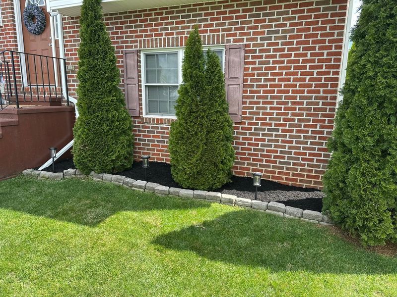 Tree & Shrub Care