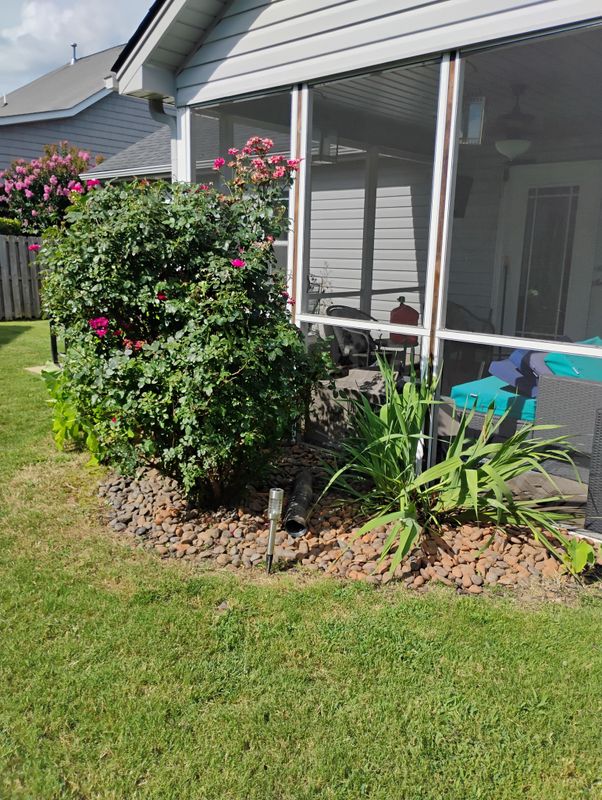 Flowerbed Maintenance