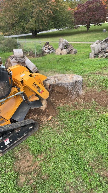 Stump Removal