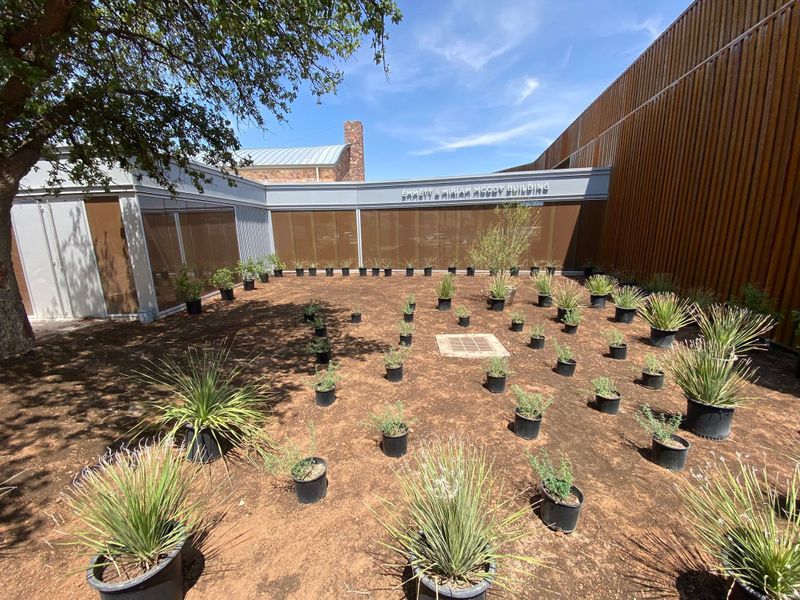 Lawn Installation And Maintenance