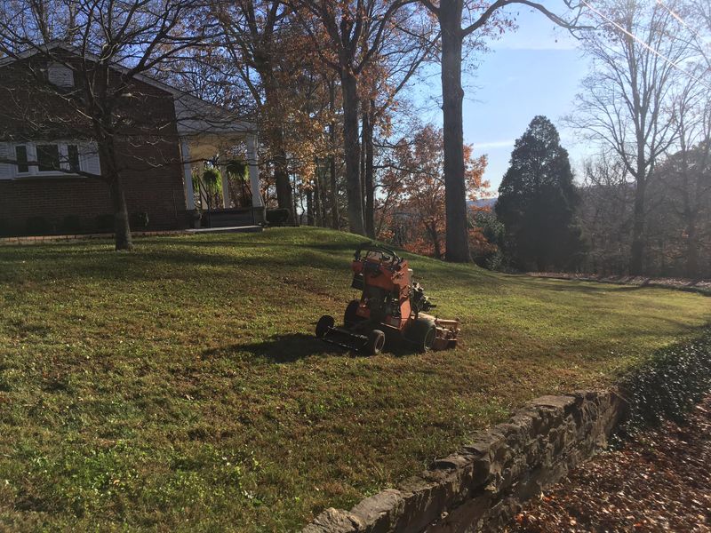 Landscaping