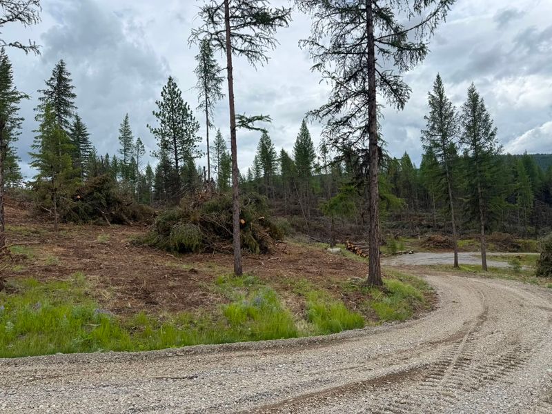 Land Clearing