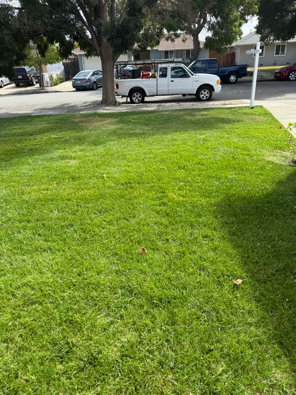 Landscaping