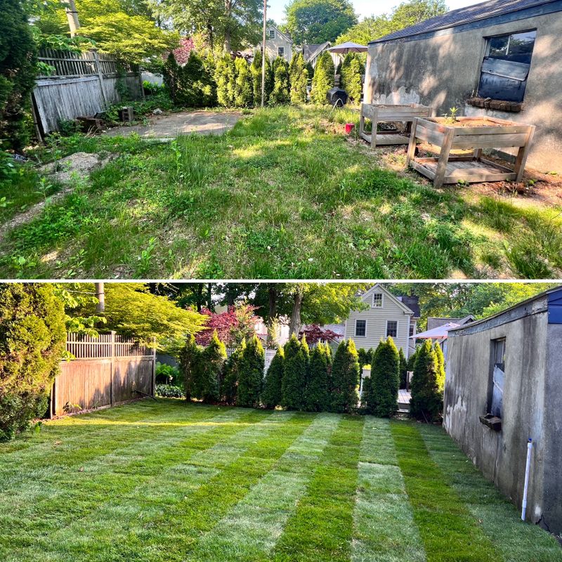 Landscaping