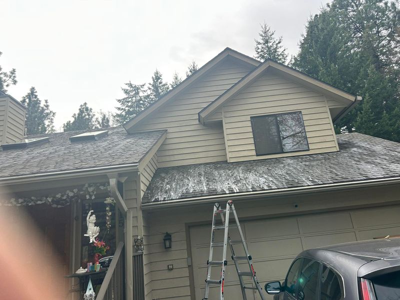 Roof Cleaning