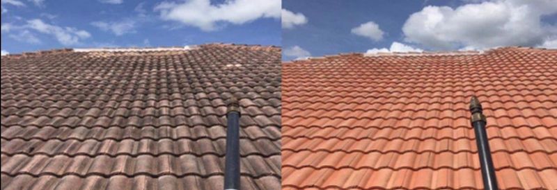Roof Washing
