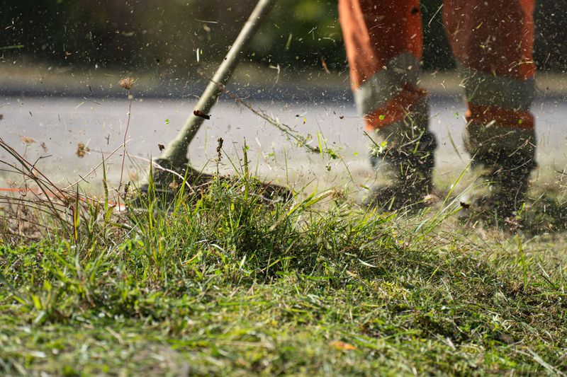 Brush Cutting