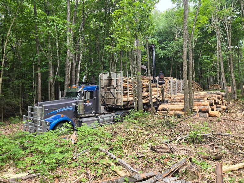 Timber Hauling