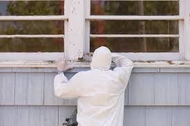 Lead Abatement