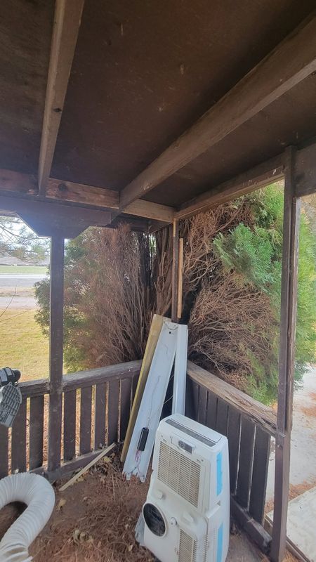 Tree Pruning