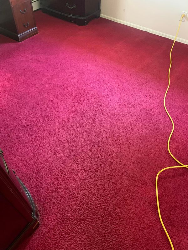 Carpet Cleaning
