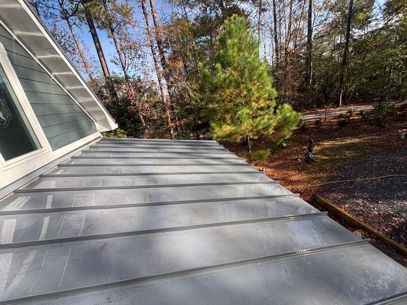 Roof Soft Wash