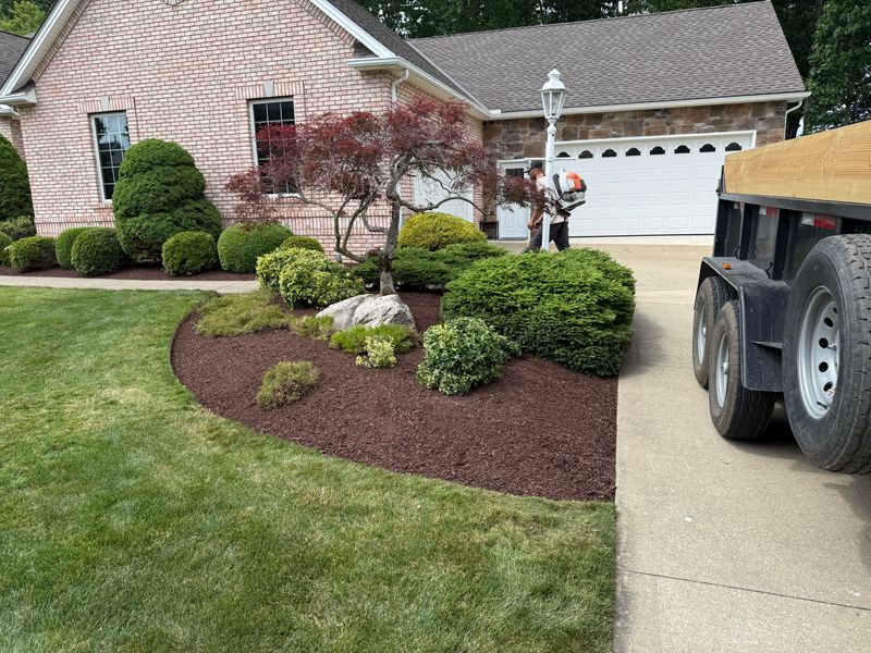 Shrub Trimming