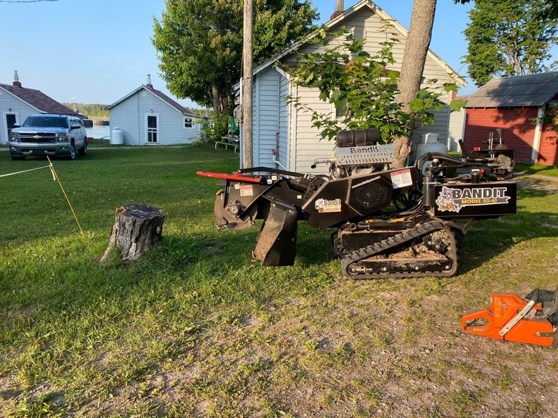 Stump Grinding