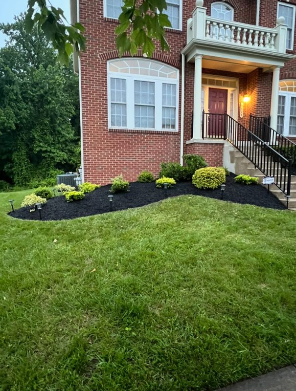 Lawn Maintenance