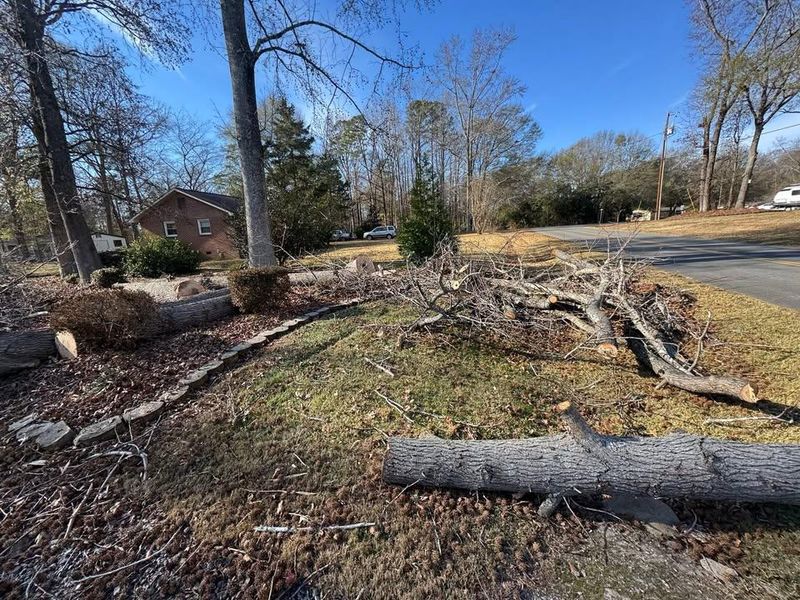 Stump Removal