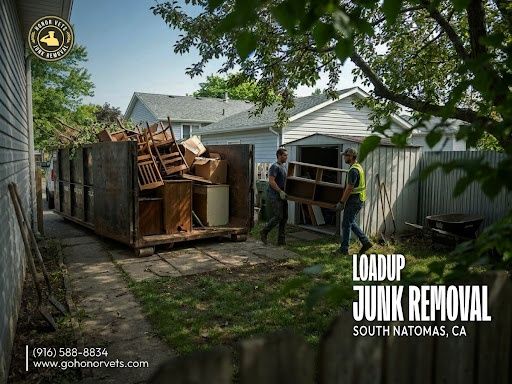 Junk Removal