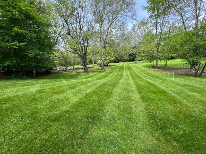 Mowing