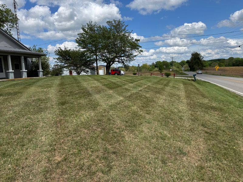 Lawns