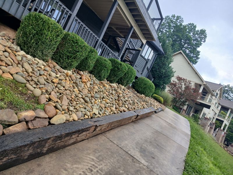 Shrub Trimming