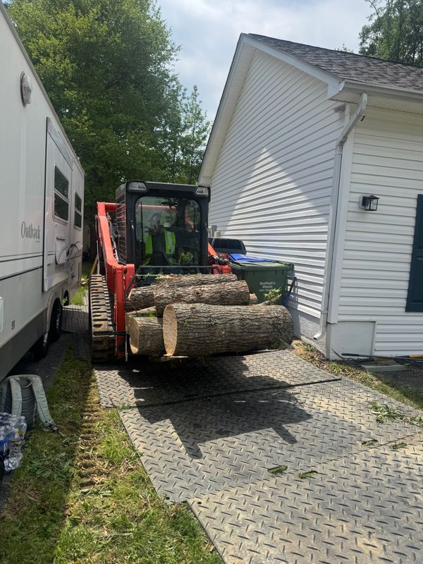 Tree Removal