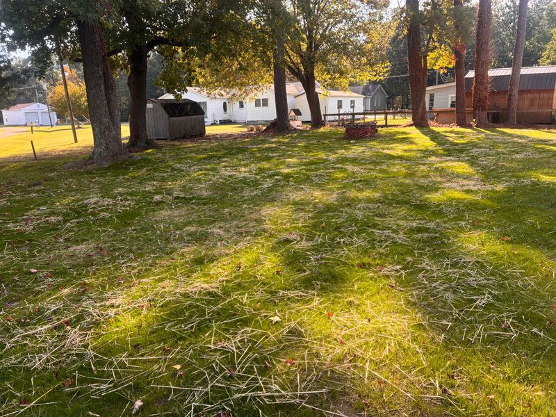 Lawn Aeration and Seeding