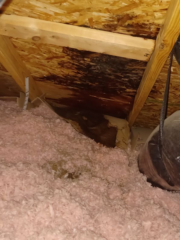 Roof Inspections