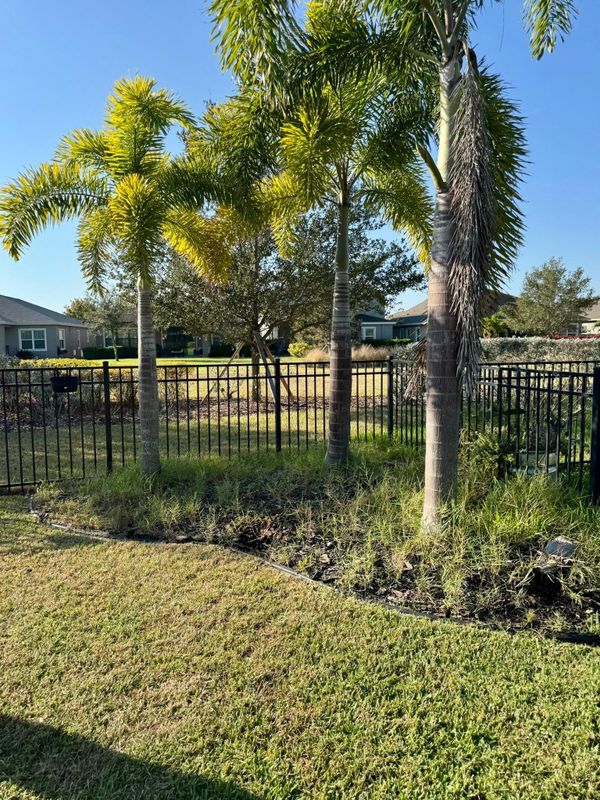 Landscaping