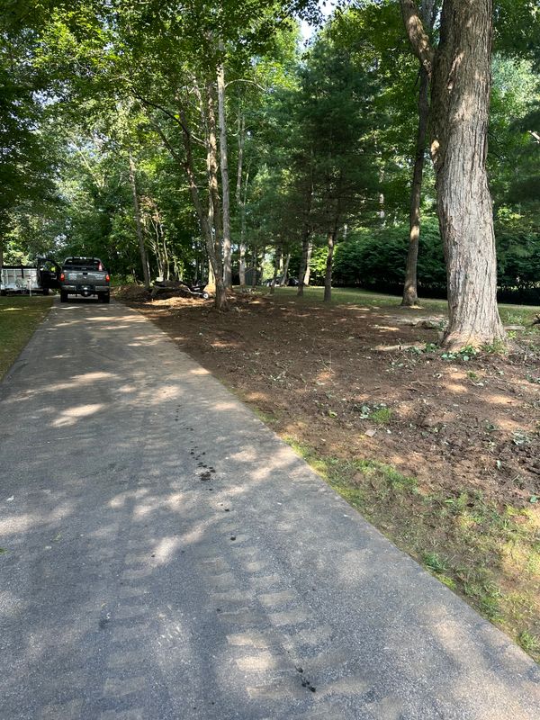 Yard Expansions