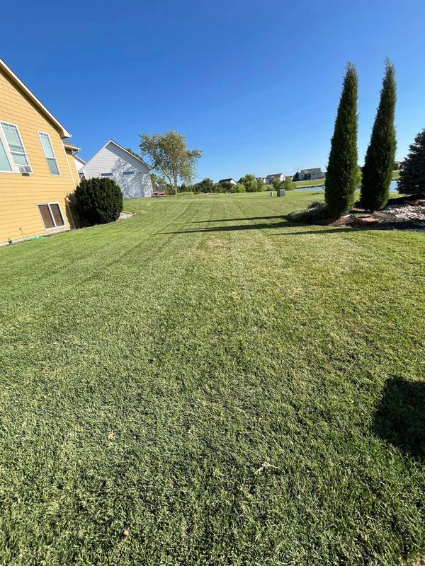 Lawn Maintenance