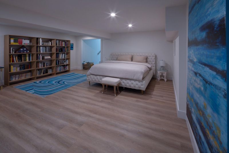 Basement Renovation