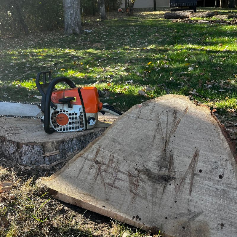 Tree Removal