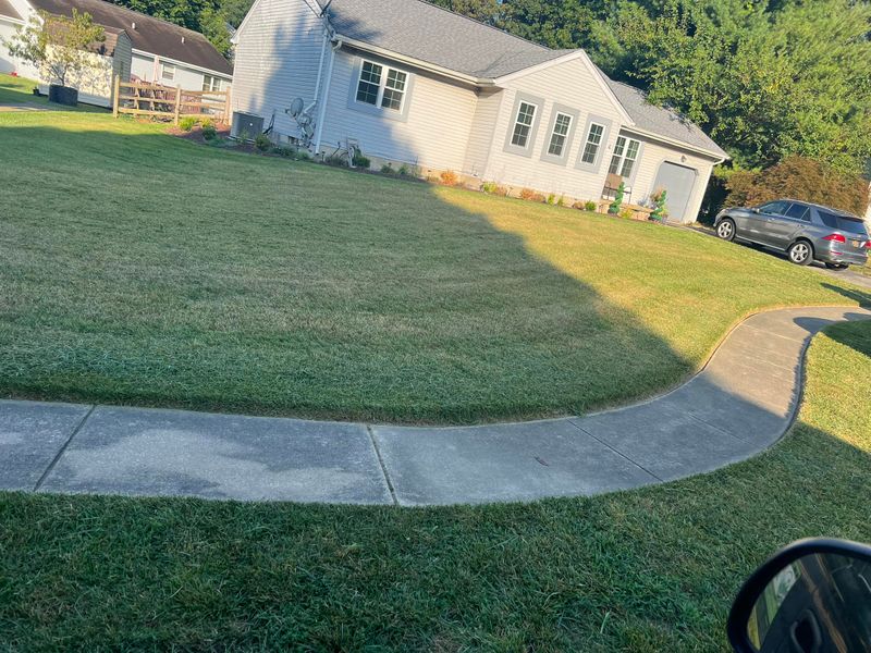 Landscaping 