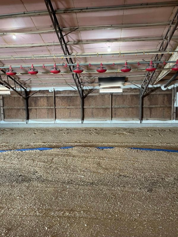 Insulation