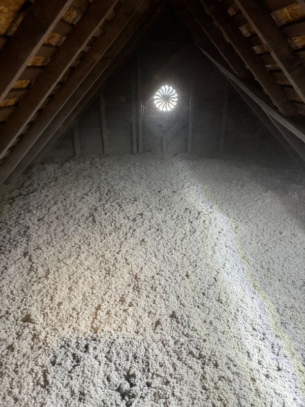 Crawlspace/Attic Renovation 