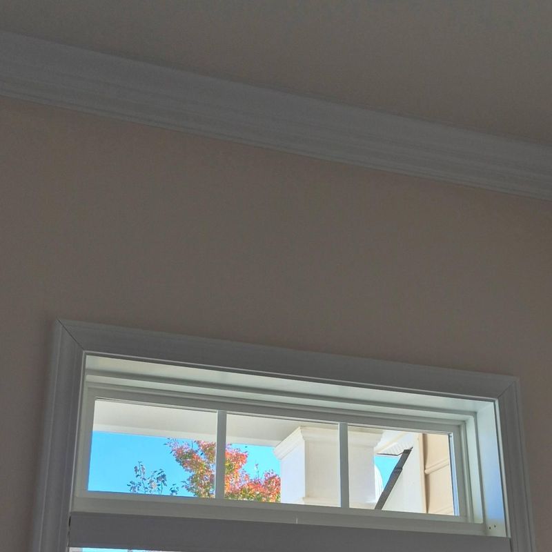 Other Glass Replacement