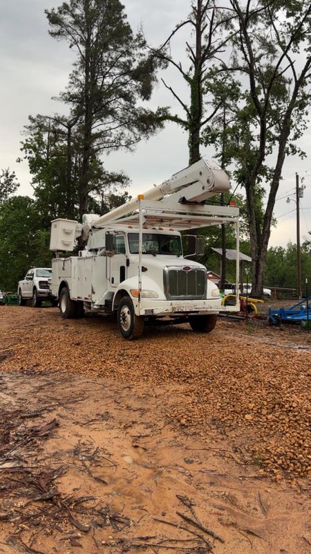Tree Removal