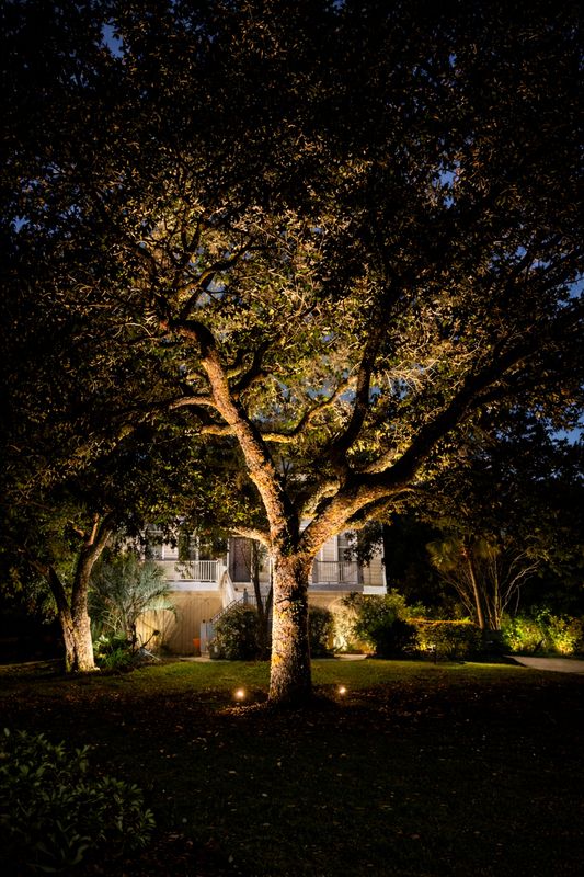 Landscape Lighting Repairs