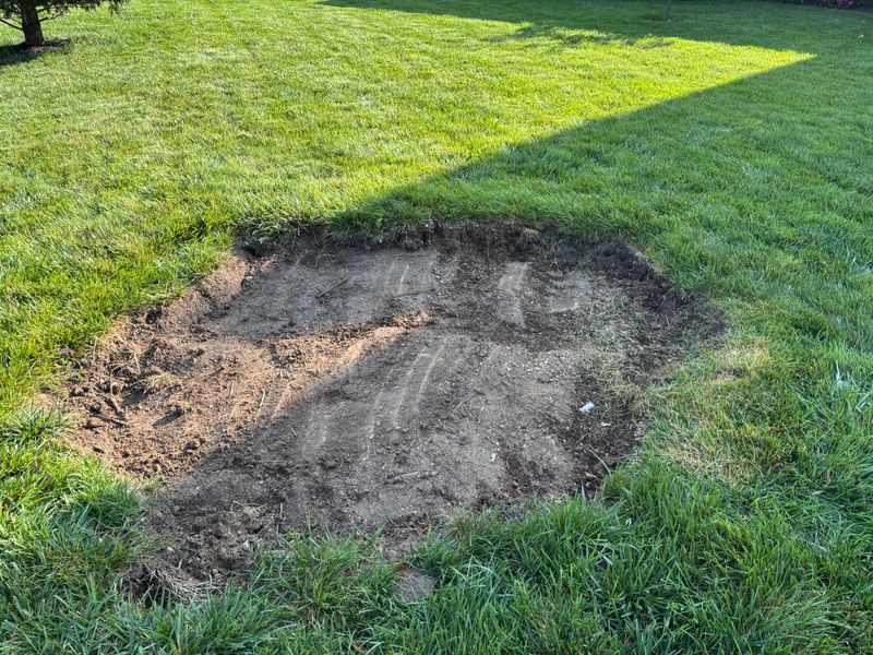 Stump Removal