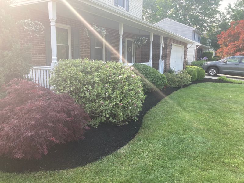 Landscape Design