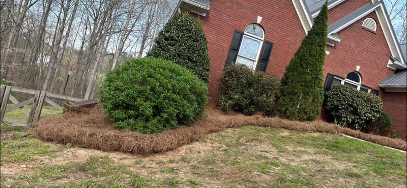 Mulch Installation