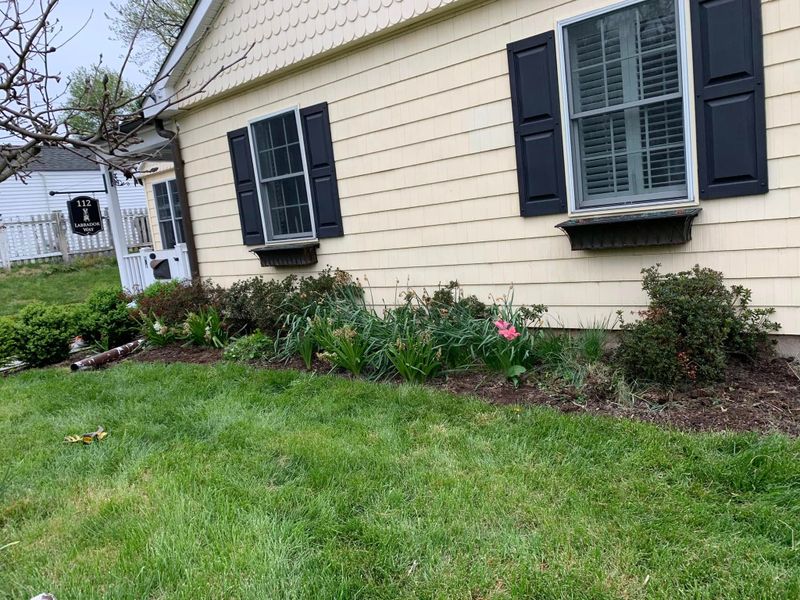Landscape Design