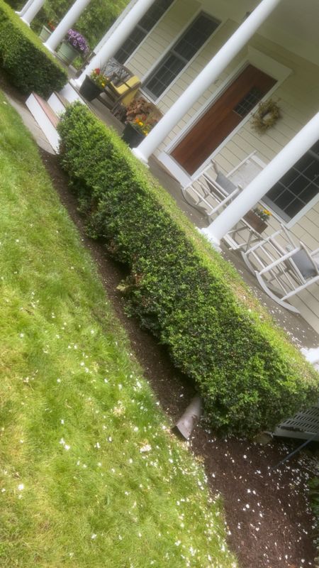 Landscaping