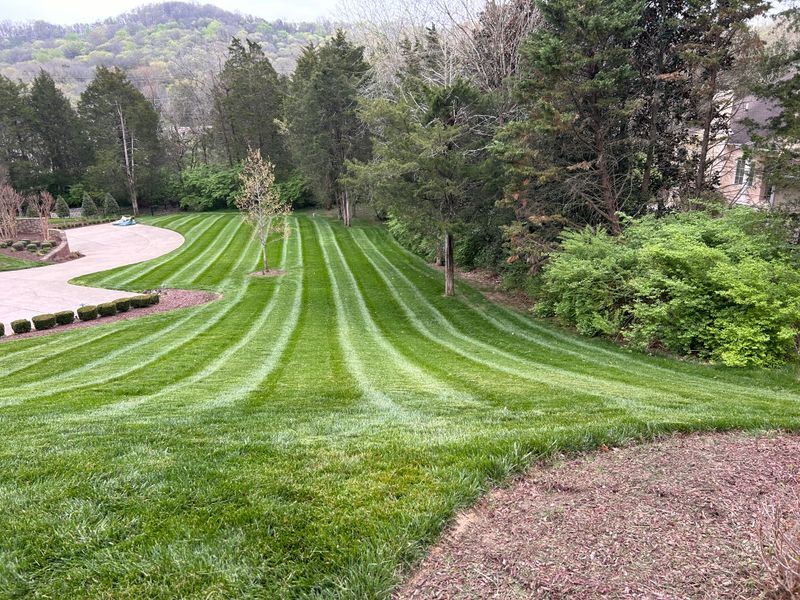 Mowing