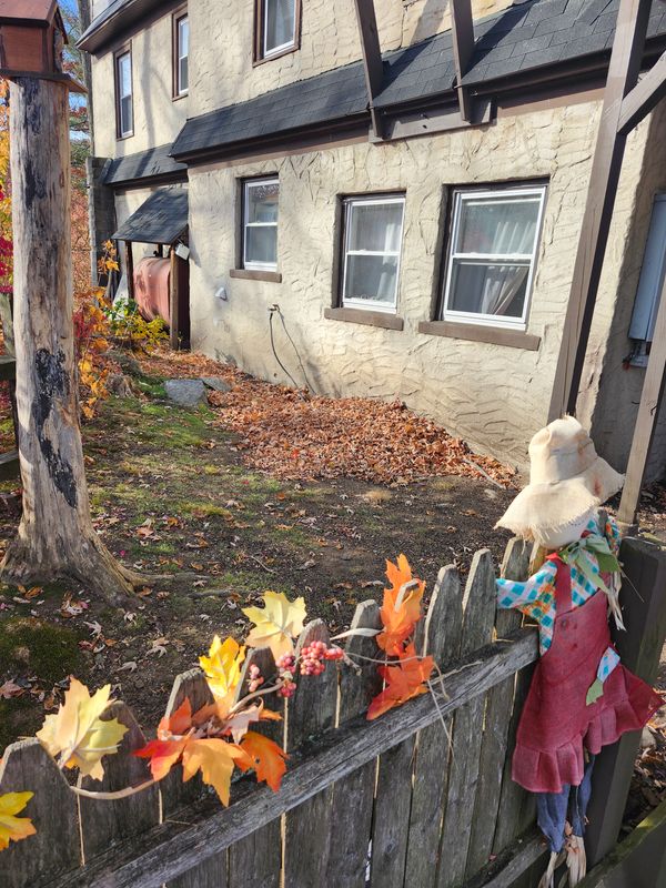 Fall Cleanups