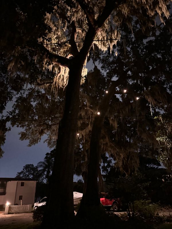 Landscape Lighting 