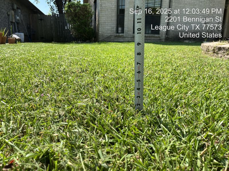 Lawn and Yard Maintenance