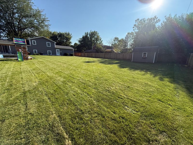 Lawn Mowing