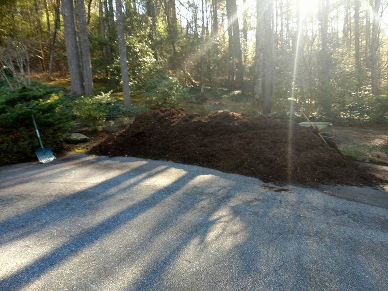 Mulch Installation