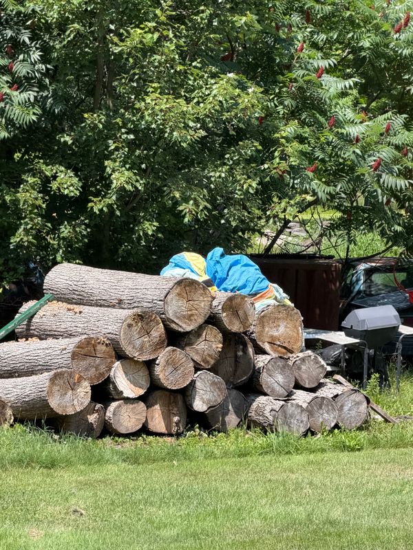 Seasoned firewood sales
